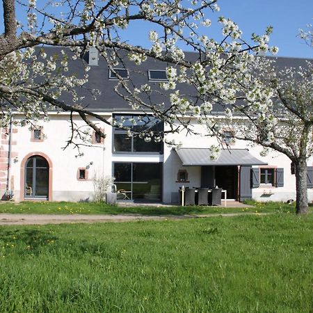 La Colline Du Baa - Maison d'hôtes d'exception Lapoutroie Exterior foto