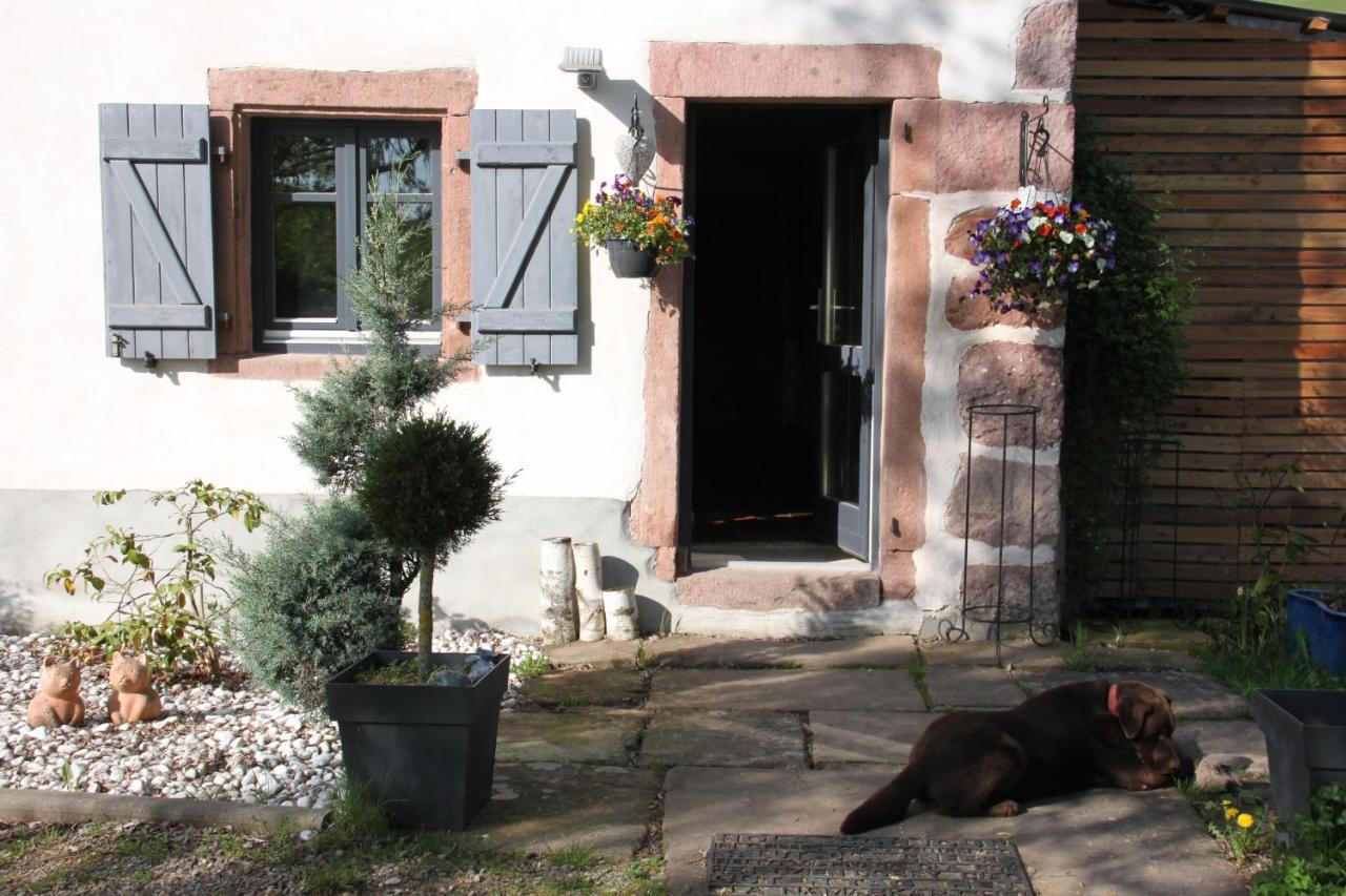 La Colline Du Baa - Maison d'hôtes d'exception Lapoutroie Exterior foto